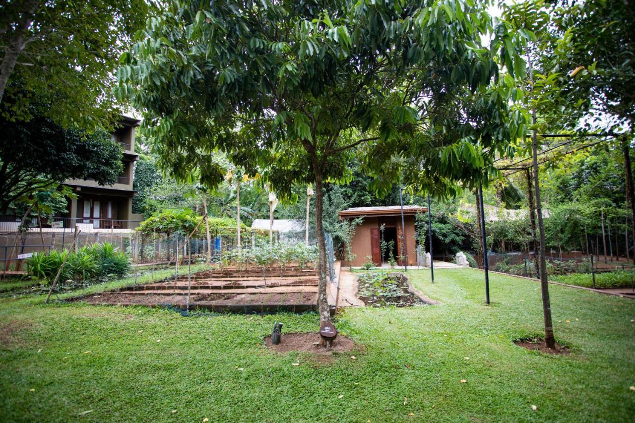 Kalu'S Hideaway Udawalawe Exterior foto