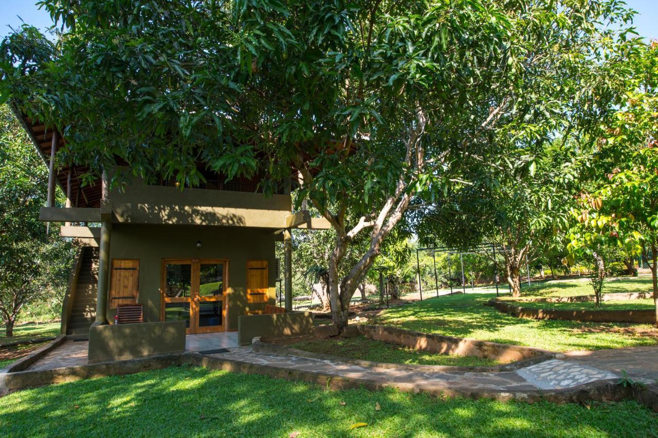 Kalu'S Hideaway Udawalawe Exterior foto