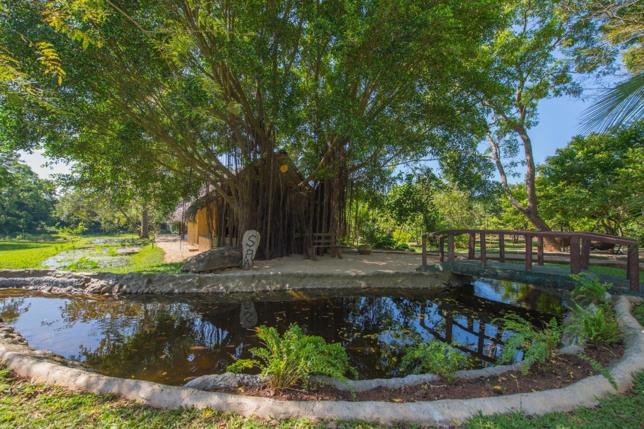 Kalu'S Hideaway Udawalawe Exterior foto