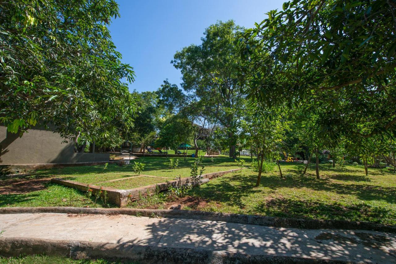 Kalu'S Hideaway Udawalawe Exterior foto